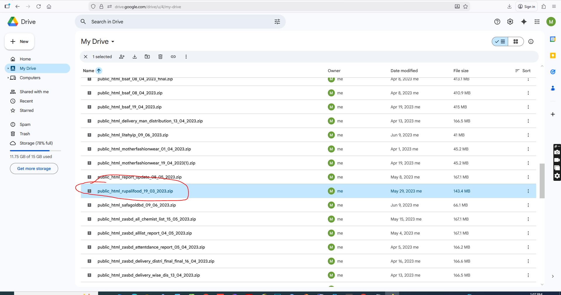 Desert Brown Elegant Abaya